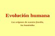 Evolución humana Los orígenes de nuestra familia, los homínidos.