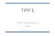 TPF1 Taller fotográfico III Color Camila Magalí Minutella.