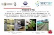 Servicios Procesadora Peru SAC “Desarrollo de 01 protocolo para la producción de plantas de frambuesa a partir de micropropagación in vitro de plántulas.