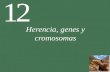 12 Herencia, genes y cromosomas. Gregor Mendel y la herencia .