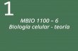 1 MBIO 1100 – 6 Biología celular - teoría. MBIO 1100 - 6 Biología Celular Profesor: Diego Mauricio Riaño Pachón  Oficina A307  Horario de Atención: