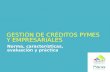 GESTIÓN DE CRÉDITOS PYMES Y EMPRESARIALES Norma, características, evaluación y práctica.