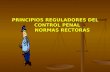 PRINCIPIOS REGULADORES DEL CONTROL PENAL NORMAS RECTORAS.