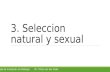 3. Seleccion natural y sexual Clase de nivelación en BiologíaDr. Yntze van der Hoek.