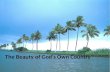 The Beauty of God's Own Country - Thomas Cook