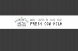 Why should you buy fresh cow milk