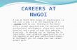 Careers at NWGOI