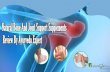 Natural Bone And Joint Support Supplements Review By Ayurved