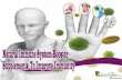 Natural Immune System Booster Supplements To Improve Immunit