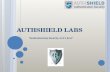 Auth shield mobile token authentication solutions
