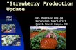 “Strawberry Production Update”