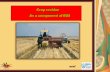 Crop residue                          As a component of INM