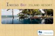 Indigo Bay island Resort 