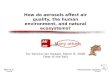 How do aerosols affect air quality, the human environment, and natural ecosystems?