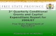 3 rd  Quarterly Conditional Grants and Capital Expenditure Report for 2006/07