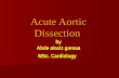 Acute Aortic Dissection by Abde alaziz gomaa MSc. Cardiology