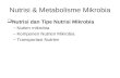 Nutrisi & Metabolisme Mikrobia