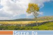 Serra Da Freita