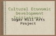 Cultural Economic Development Initiatives: