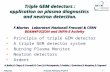 Triple GEM detectors : application on plasma diagnostics  and neutron detection.