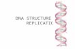 DNA STRUCTURE &  REPLICATION
