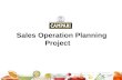 Sales Operation  Planning    Project