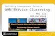 Web Service Clustering