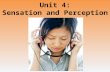 Unit 4: Sensation and Perception