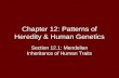 Chapter 12: Patterns of Heredity & Human Genetics