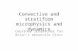 Convective and stratiform microphysics and dynamics