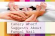 Chiropodist in Canary Wharf Suggests About Fungal Nail Treat