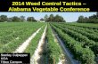 2014 Weed Control Tactics – Alabama Vegetable Conference