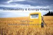 Sustainability & Energy Crops