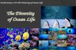 Earth Science 15.2 The Diversity of  O cean  L ife