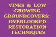 VINES  &  LOW  GROWING  GROUNDCOVERS:   OVERLOOKED  RESTORATION  TECHNIQUES