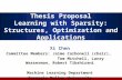 Thesis Proposal Learning with Sparsity: Structures, Optimization and Applications