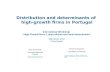 Distribution and determinants of  high-growth firms in Portugal