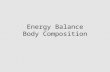 Energy Balance Body Composition