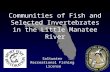 Saltwater  Recreational Fishing  License