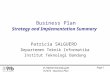 Business Plan Strategy and Implementation Summary