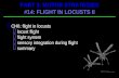 CH6: flight in locusts  locust flight  flight system  sensory integration during flight  summary