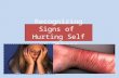 Recognizing Signs of  Hurting  Self or Others