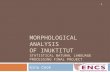 Morphological Analysis of Inuktitut Statistical Natural Language Processing Final Project