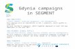 Gdynia campaigns in SEGMENT