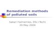 Remediation methods of polluted soils