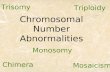 Chromosomal Number Abnormalities