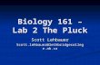Biology 161 – Lab 2 The Pluck