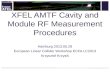 XFEL AMTF Cavity and Module RF Measurement Procedures