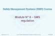Module N ° 6 – SMS regulation