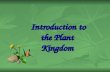 Introduction to the Plant Kingdom